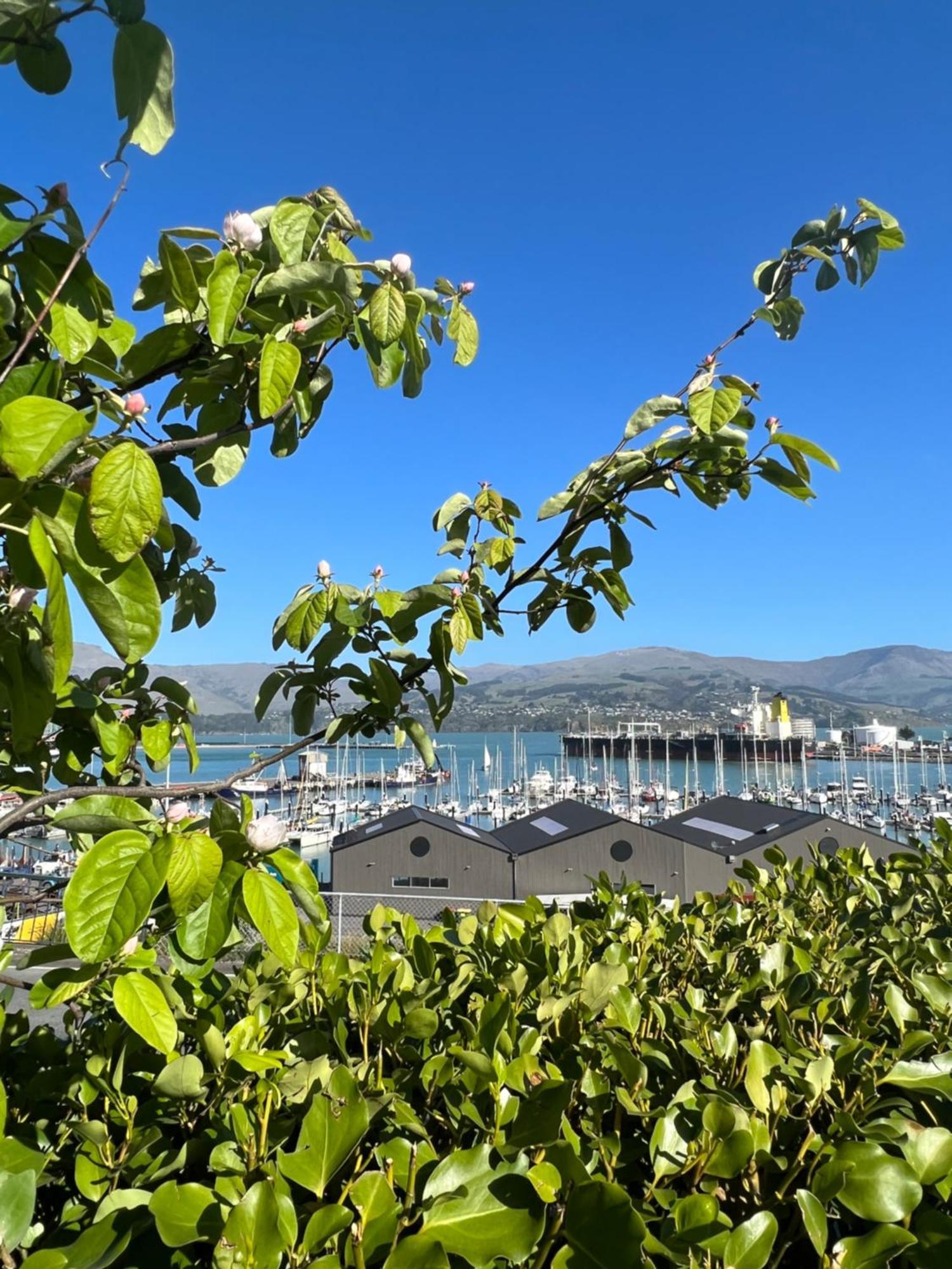 Sea Views In Luxury At Lyttelton Boatique House - 14 Km From Christchurch 外观 照片