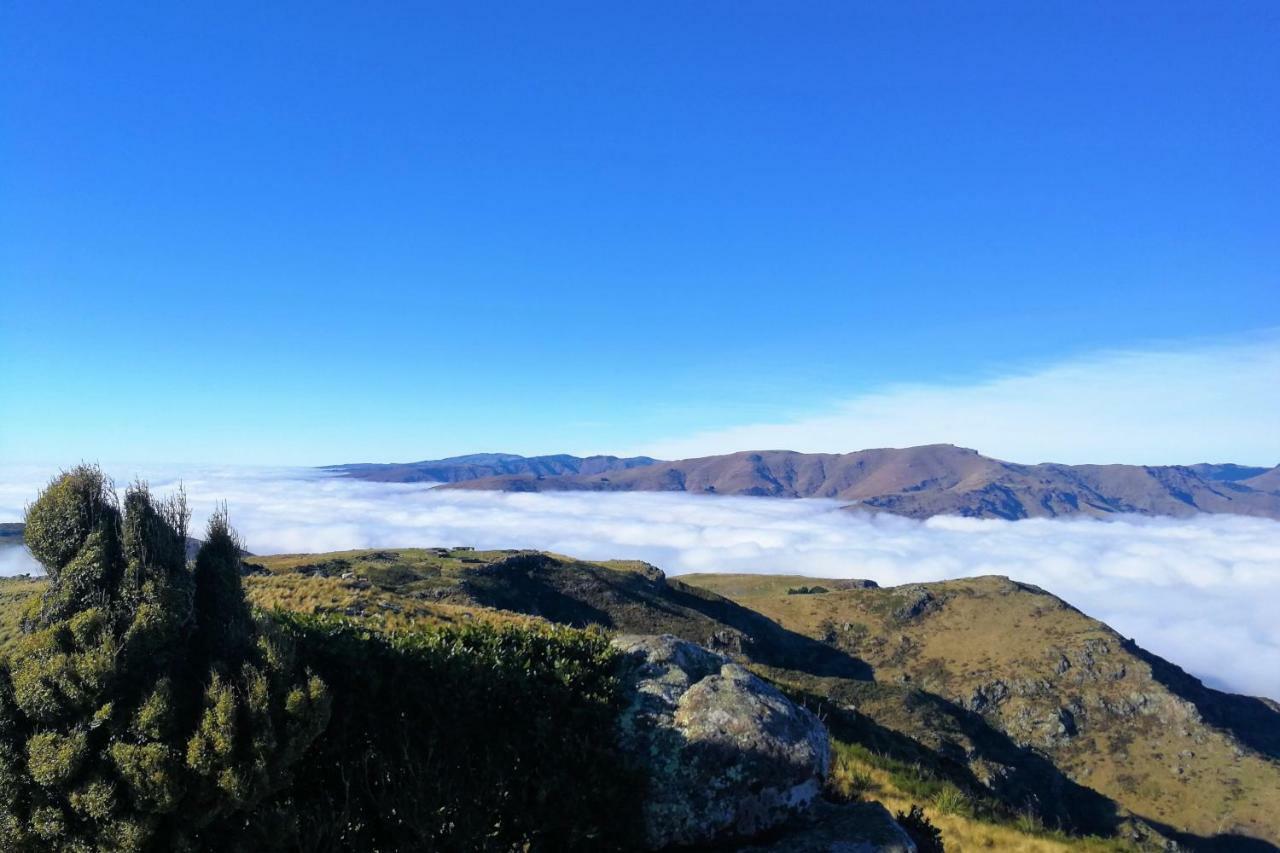 Sea Views In Luxury At Lyttelton Boatique House - 14 Km From Christchurch 外观 照片